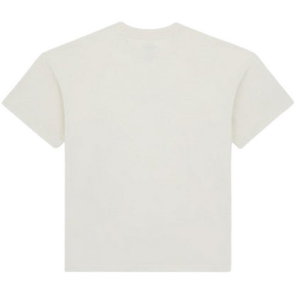 T-shirt Uomo Dickies - Enterprise Tee Ss - Bianco