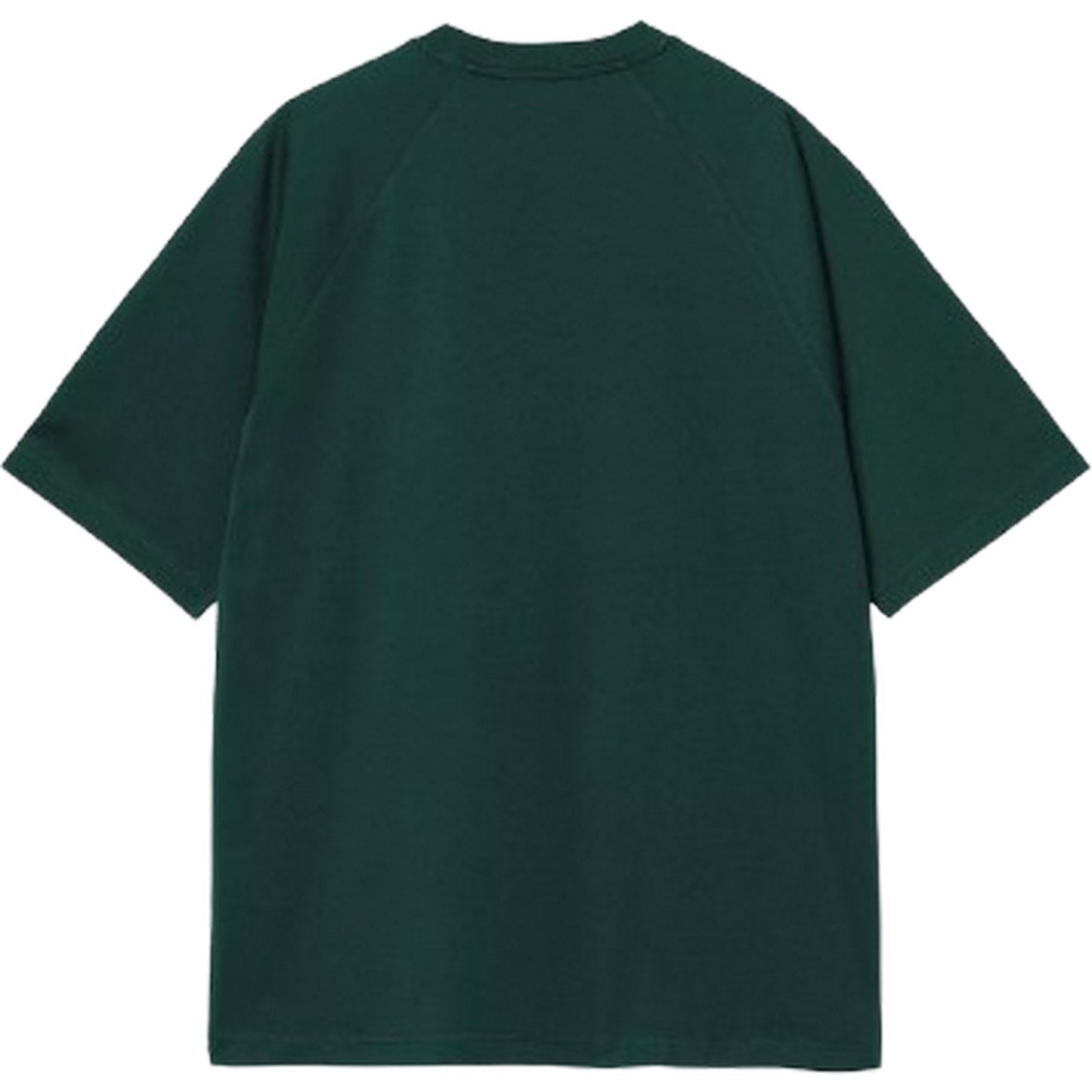 T-shirt Uomo Carhartt Wip - S/S Ray T-Shirt - Verde