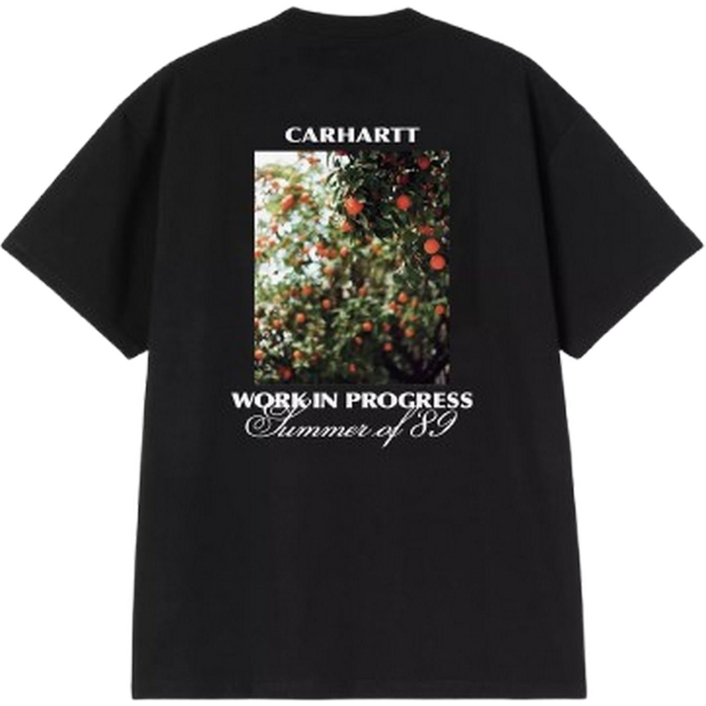 T-shirt Uomo Carhartt Wip - S/S Warm Views T-Shirt - Nero