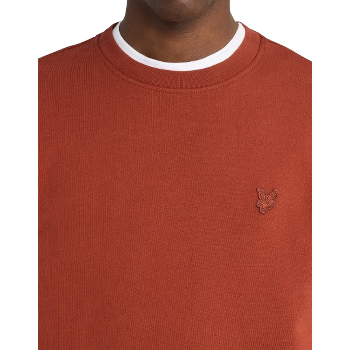 Maglie a manica lunga Uomo Lyle & Scott - Superfine Crew Neck Sweatshirt - Multicolore