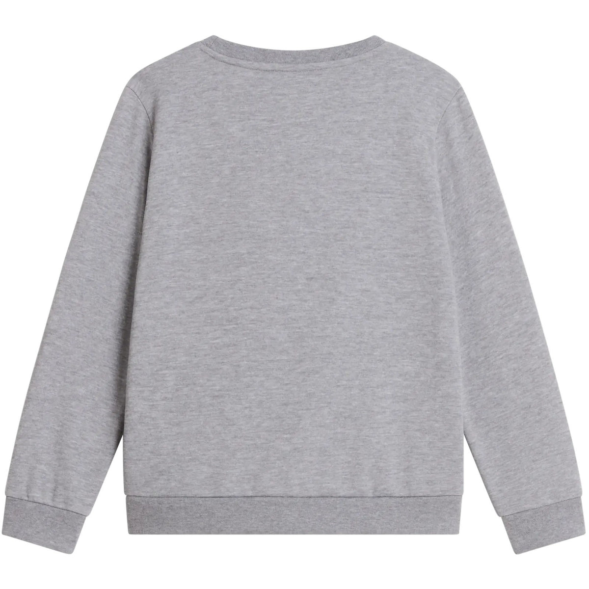 Felpe senza cappuccio Ragazzi Unisex The North Face - Teen Evoltn Sd Crew - Grigio