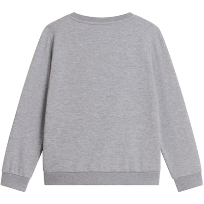Felpe senza cappuccio Ragazzi Unisex The North Face - Teen Evoltn Sd Crew - Grigio