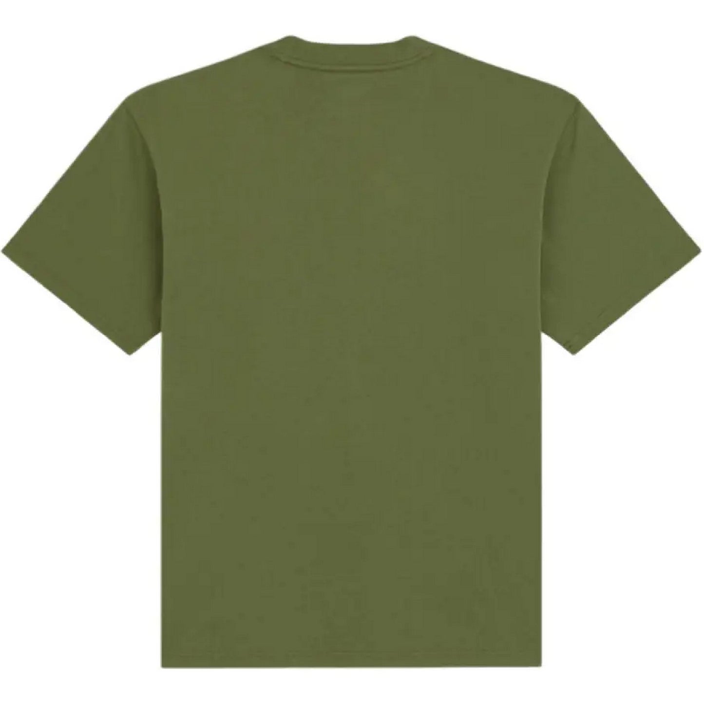 T-shirt Uomo Dickies - Loretto Ss Tee - Verde