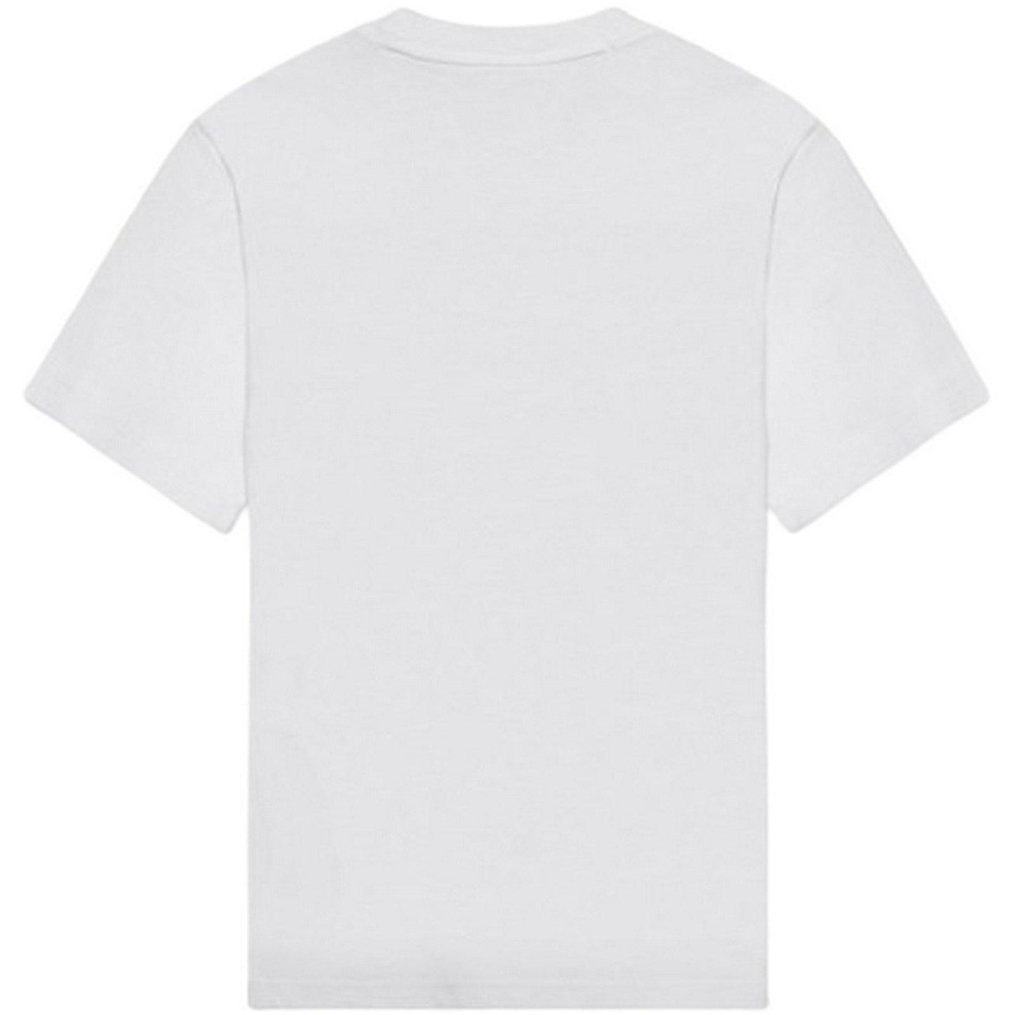 T-shirt Donna Dickies - Icon Logo Tee W - Bianco