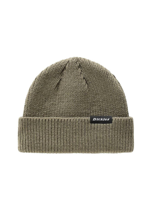 Berretti in maglia Uomo Dickies - Woodworth Beanie - Verde