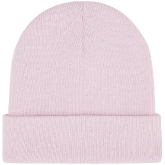 Berretti in maglia Uomo Dickies - Gibsland Beanie - Rosa