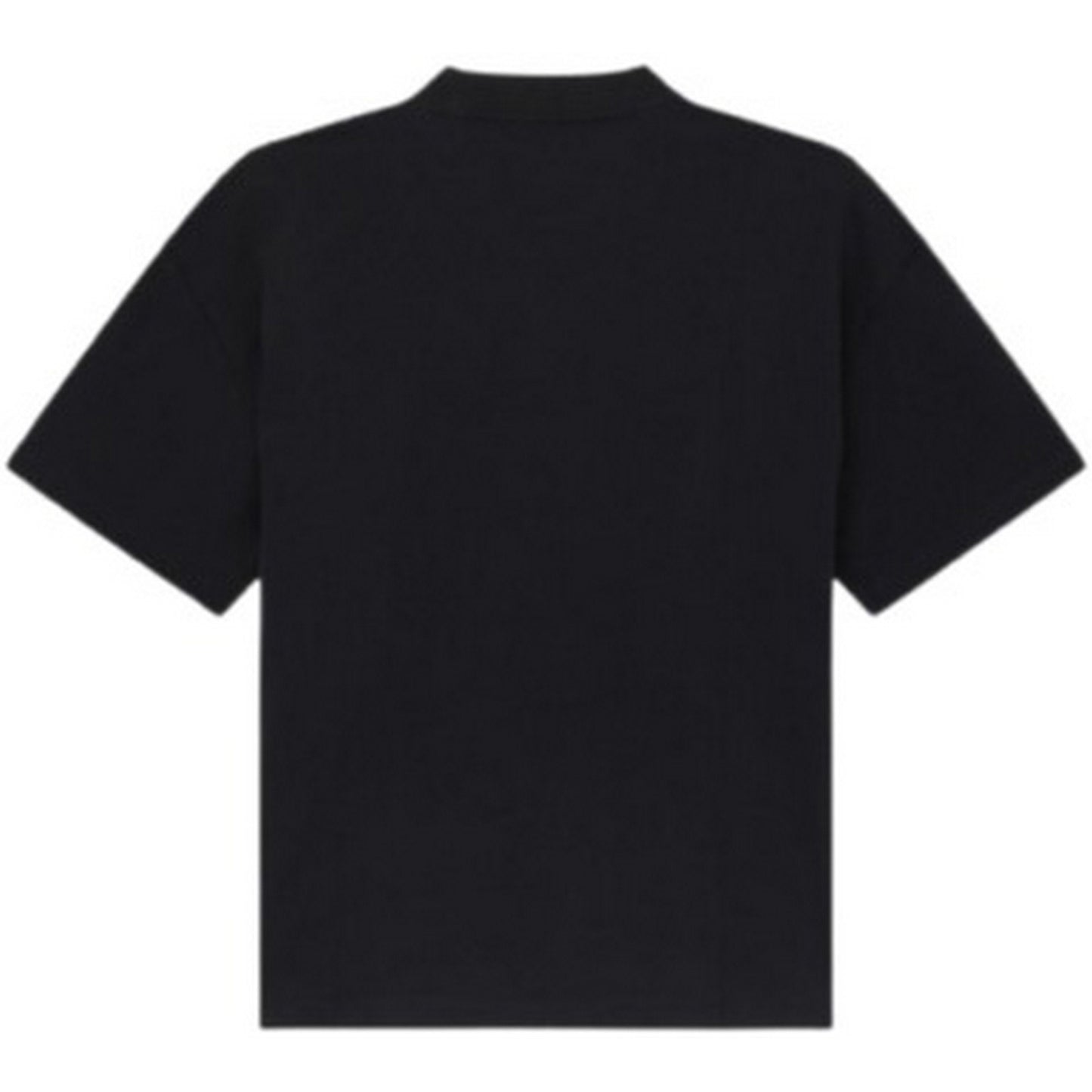 T-shirt Uomo Dickies - Mineral Heavyweight Ss Tee - Nero
