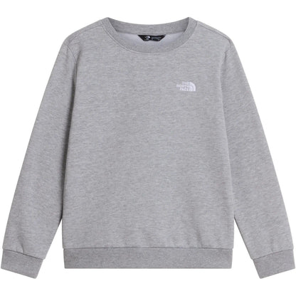Felpe senza cappuccio Ragazzi Unisex The North Face - Teen Evoltn Sd Crew - Grigio