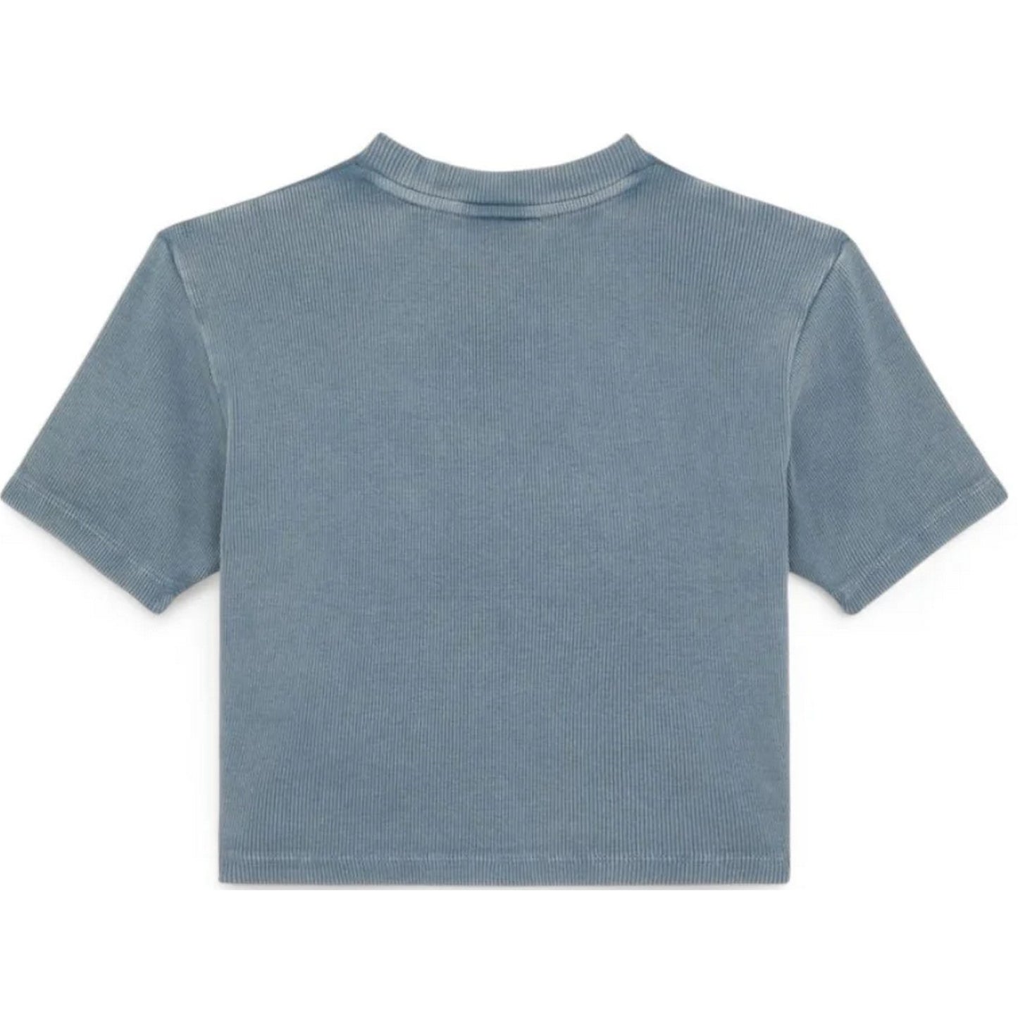 T-shirt Donna Dickies - Plentywood Tee Ss W - Blu