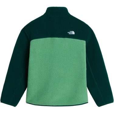Giacche Ragazzi Unisex The North Face - Teen Yumiori 1/4 Jkt - Verde