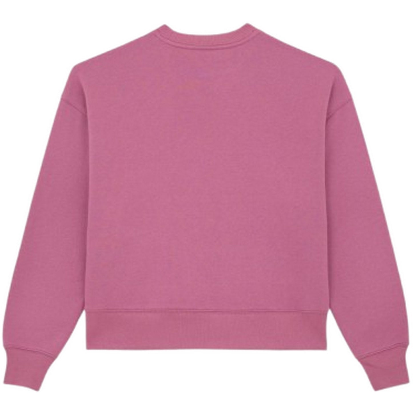 Felpe senza cappuccio Donna Dickies - Summerdale Sweatshirt W - Viola