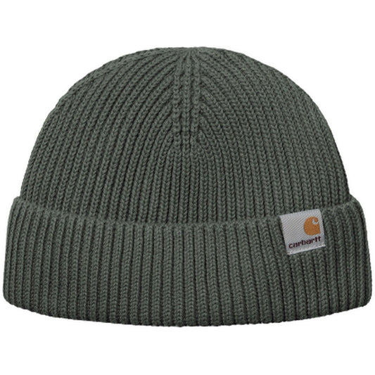 Berretti in maglia Unisex Carhartt Wip - Banks Beanie - Verde