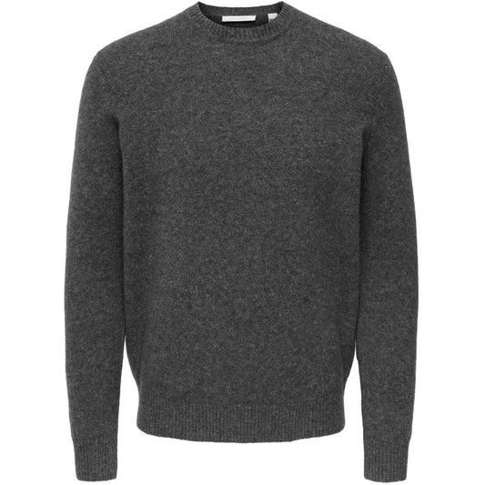 Maglie a manica lunga Uomo Only & Sons - Onsray Reg Ls Crew Knit Frml - Grigio