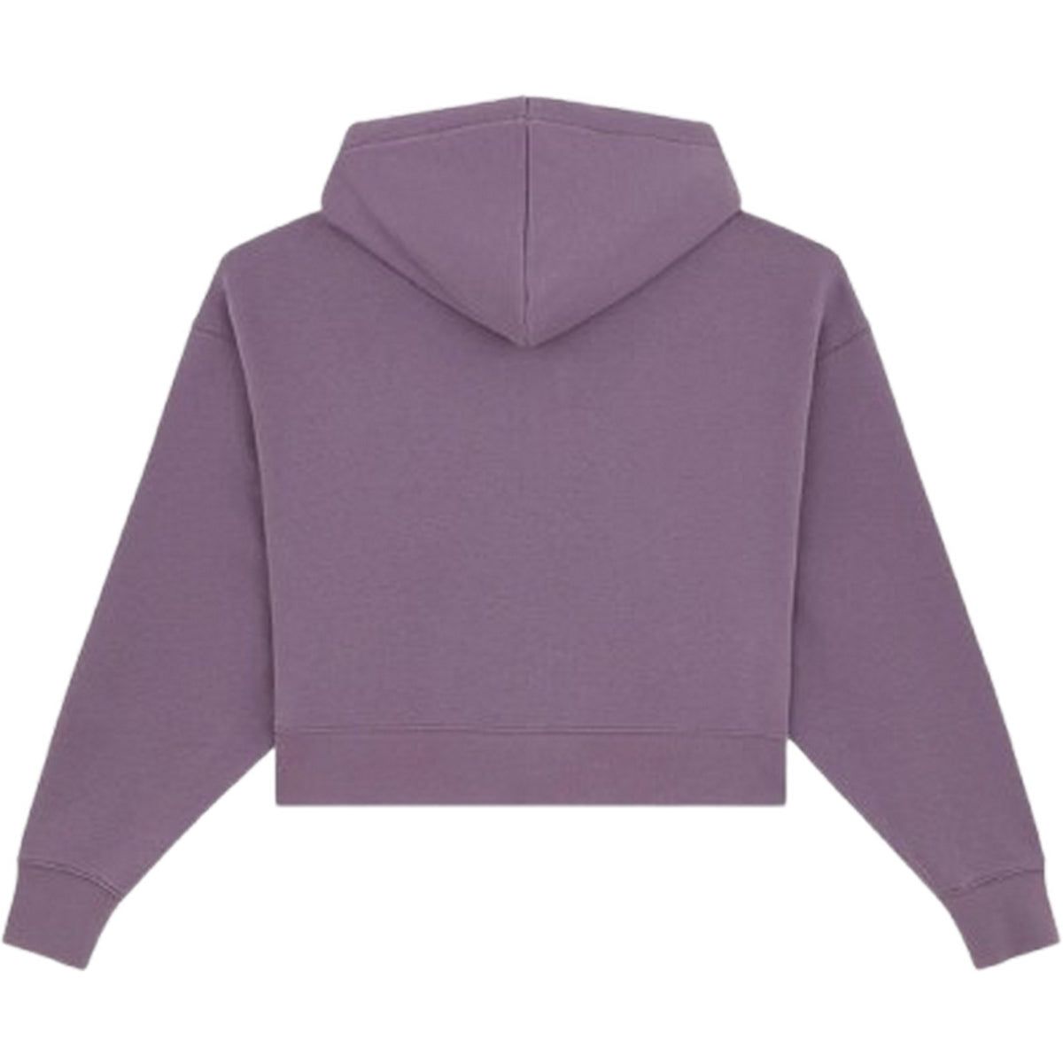 Felpe con cappuccio Donna Dickies - Oakport Zip Hoodie W - Viola