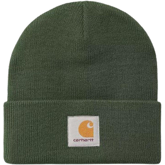 Berretti in maglia Unisex Carhartt Wip - Short Watch Hat - Verde