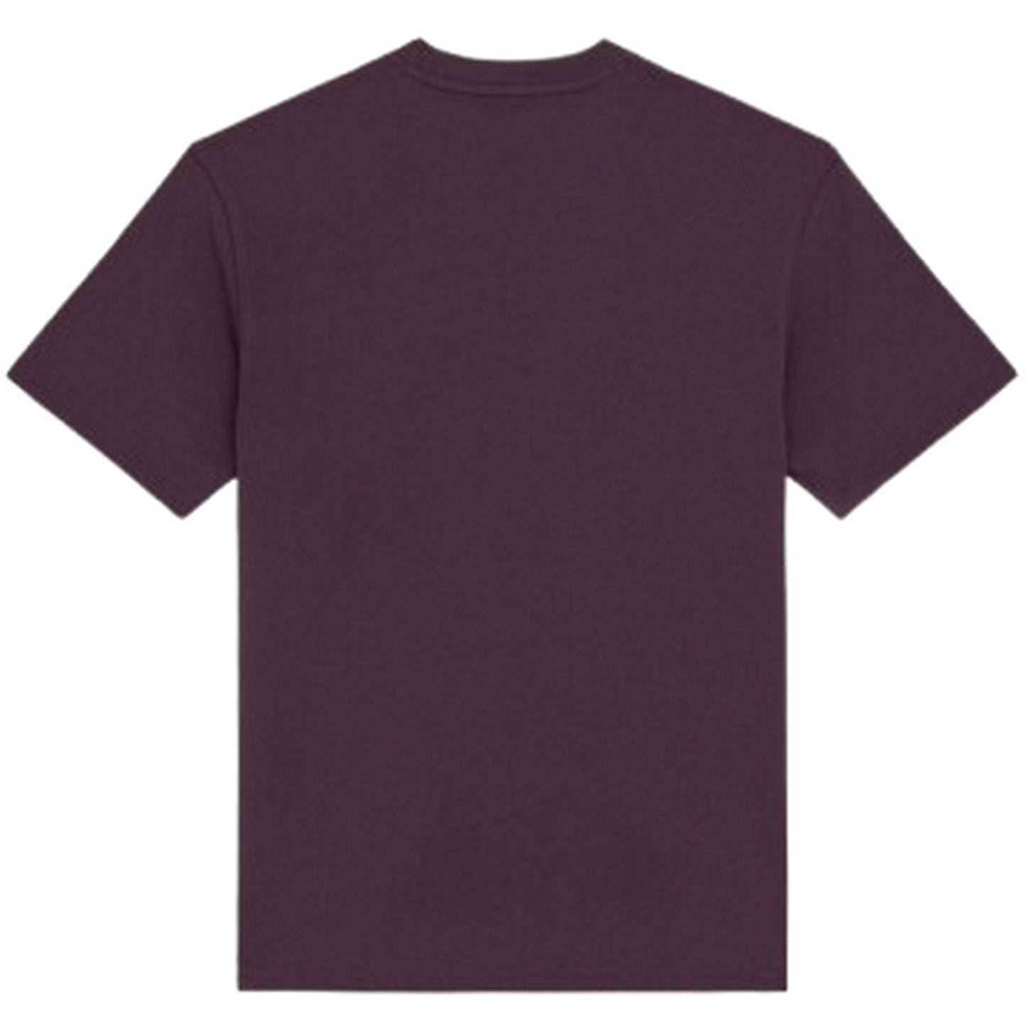 T-shirt Uomo Dickies - Summerdale Tee Ss - Viola