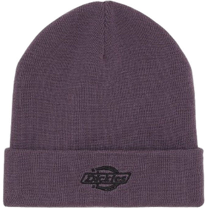 Berretti in maglia Uomo Dickies - Summerdale Beanie - Viola
