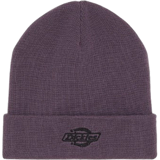 Berretti in maglia Uomo Dickies - Summerdale Beanie - Viola
