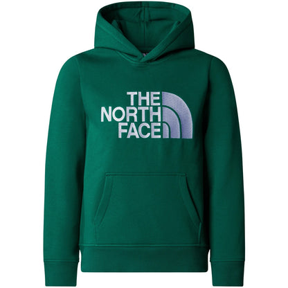 Felpe con cappuccio Ragazzo The North Face - B Drew Peak P/O Hoodie - Verde