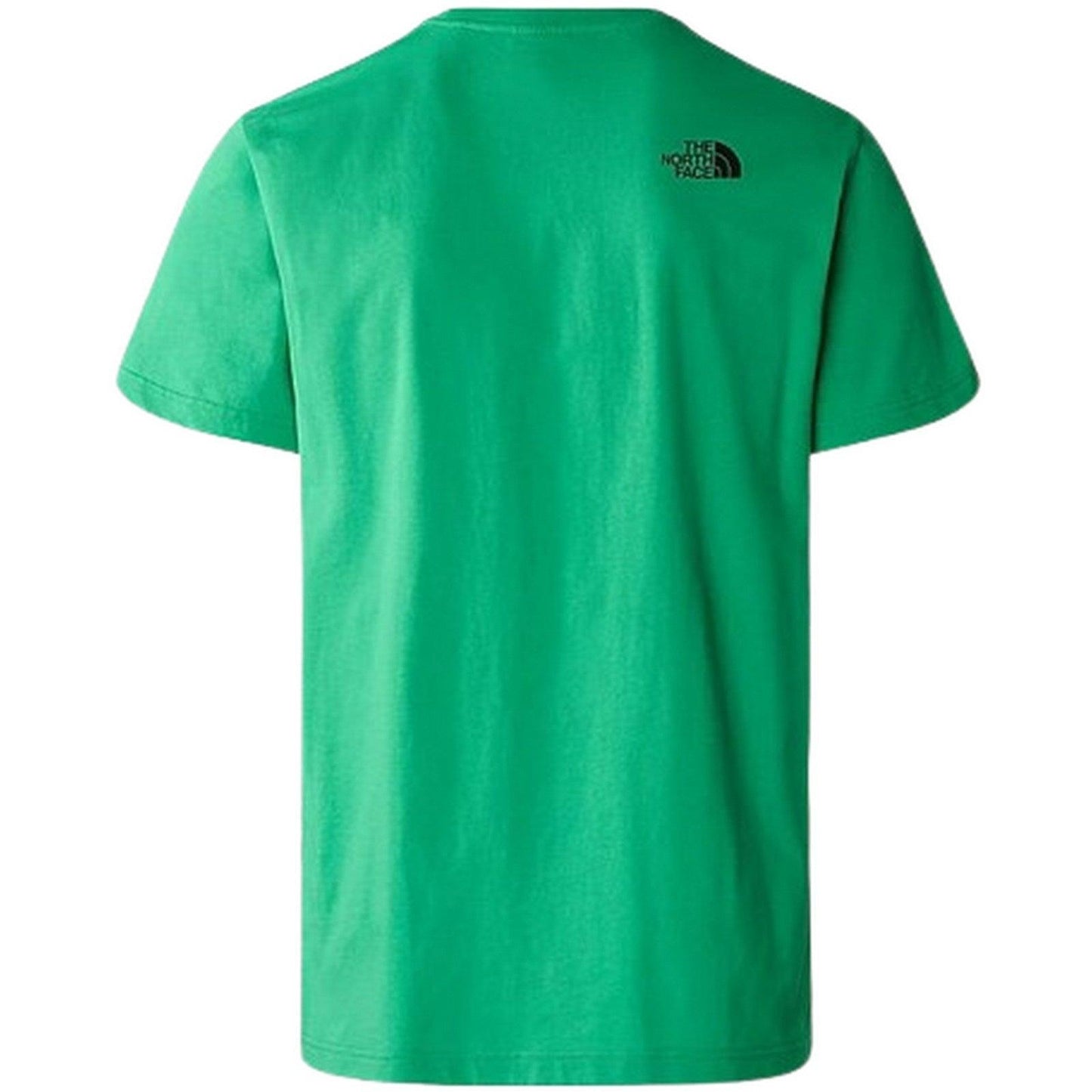 T-shirt Uomo The North Face - M S/S Fine Alpine Equipment Tee 3 - Eu - Verde