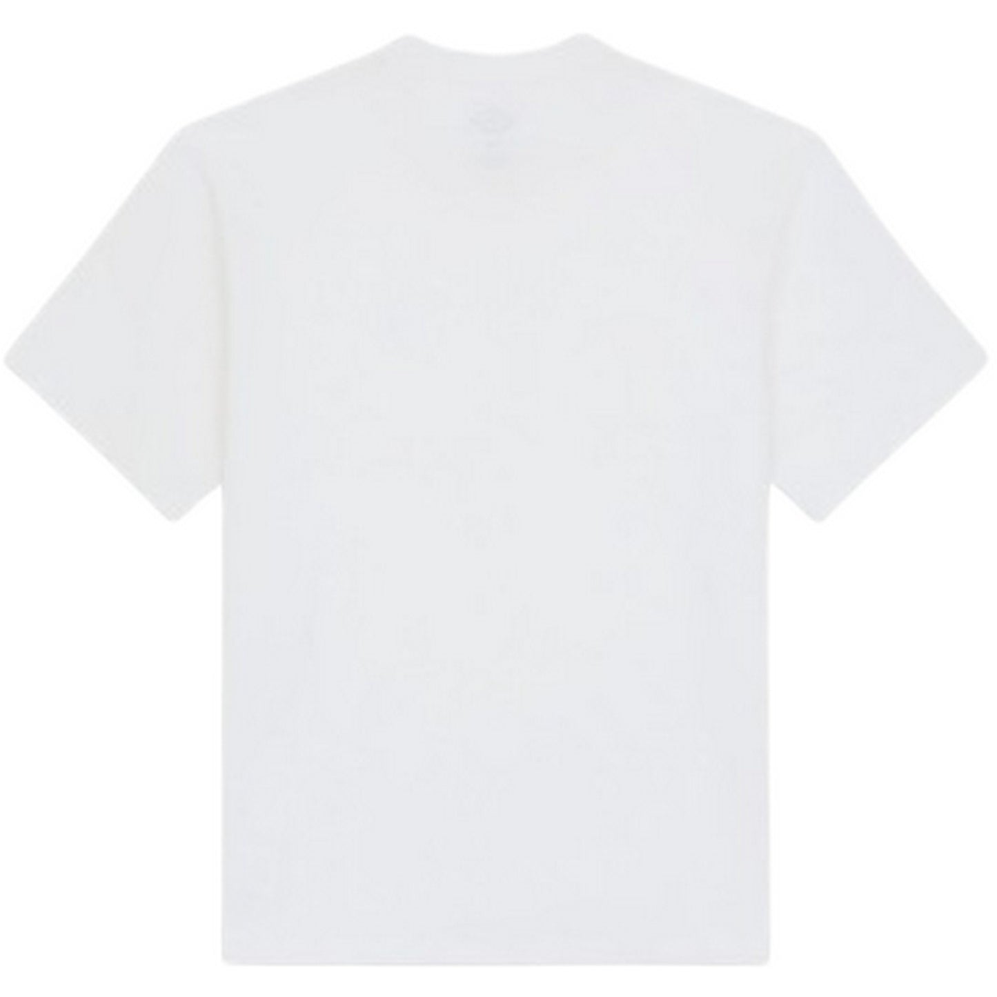 T-shirt Uomo Dickies - Clancy Heavyweight Tee Ss - Bianco