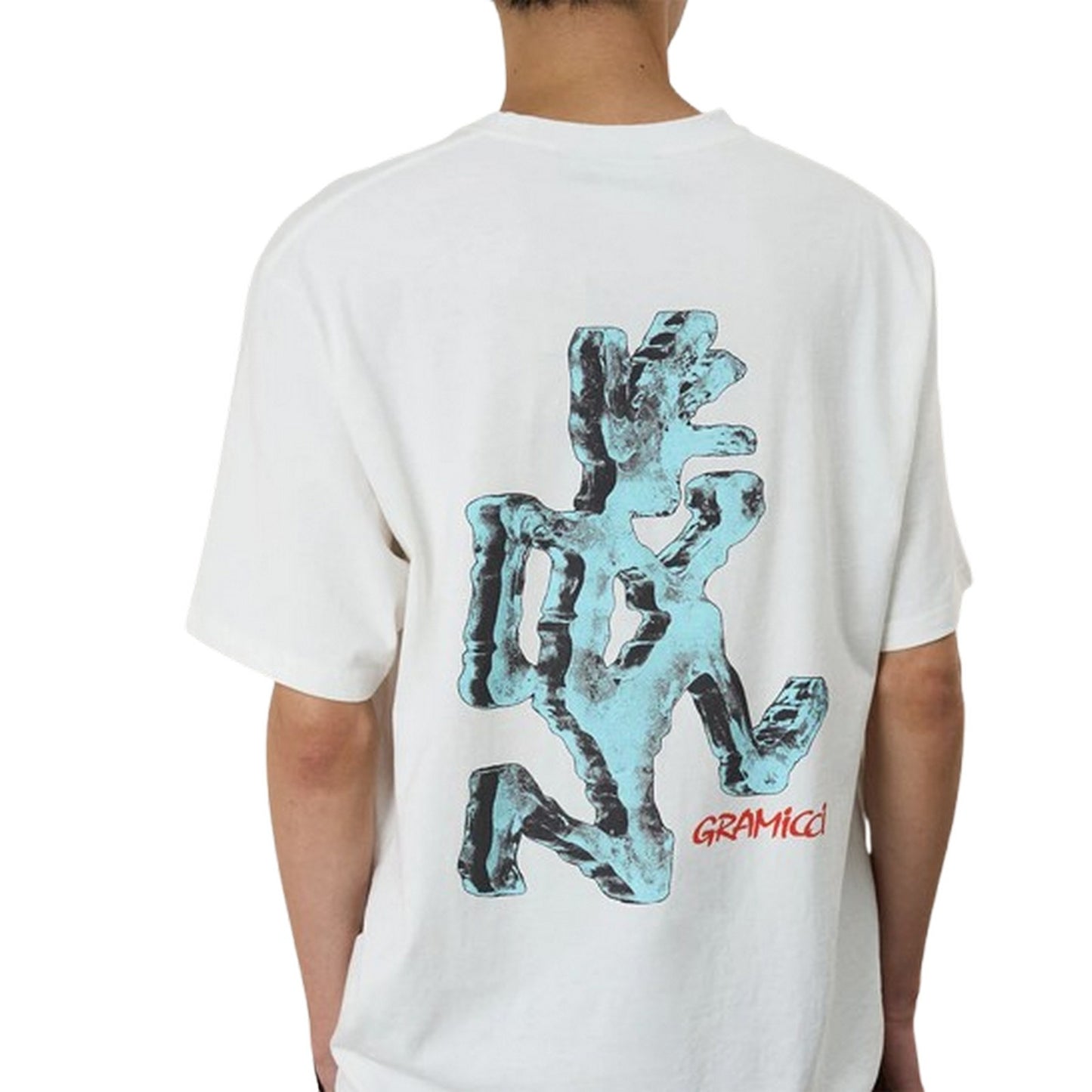 T-shirt Uomo Gramicci - Ice Sculpture Tee - Bianco
