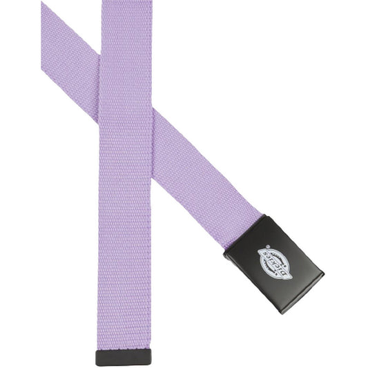 Cinture Uomo Dickies - Orcutt Webbing Belt - Viola