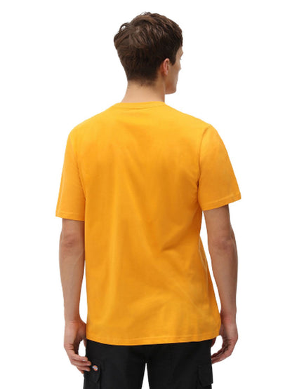 T-shirt Uomo Dickies - Ss Mapleton T-Shirt - Giallo