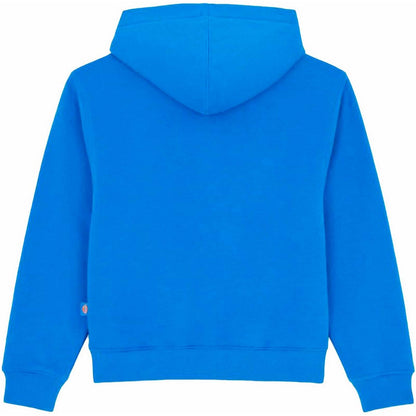 Felpe con cappuccio Ragazzi Unisex Dickies - Youth Oakport Hoodie - Blu