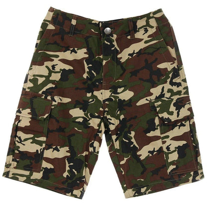 Pantaloncini Uomo Dickies - Millerville Short - Multicolore