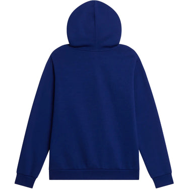 Felpe con cappuccio Ragazzi Unisex The North Face - Teen Evoltn Sd Po Hdy - Blu