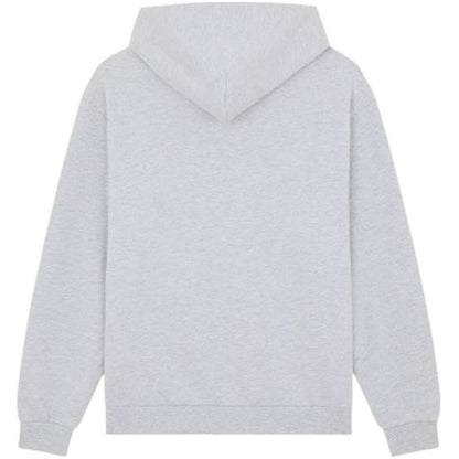 Felpe con cappuccio Uomo Dickies - Fostoria Fz Hoodie - Grigio
