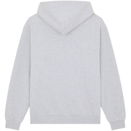 Felpe con cappuccio Uomo Dickies - Fostoria Fz Hoodie - Grigio