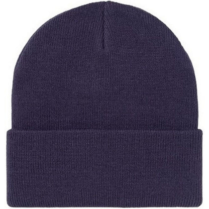 Berretti in maglia Unisex Carhartt Wip - Ashley Beanie - Blu