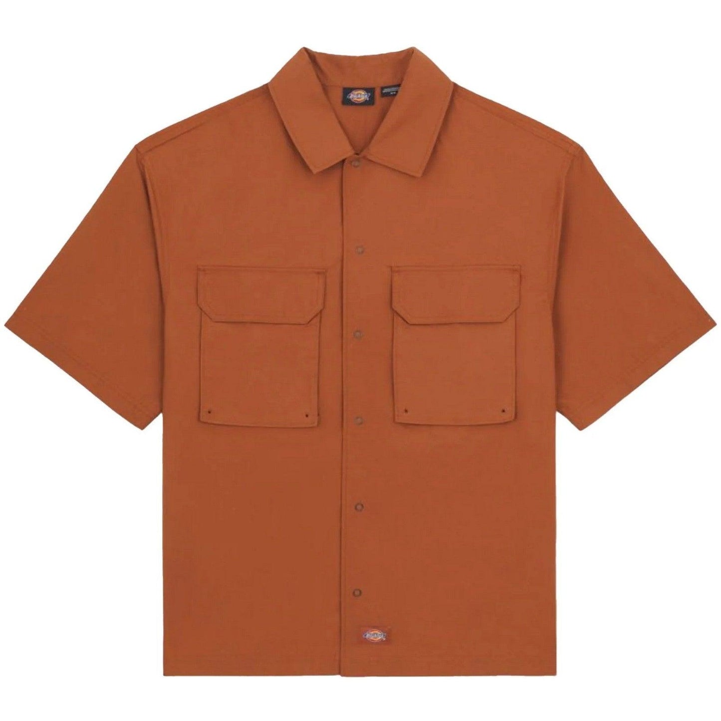 Camicie casual Uomo Dickies - Fishersville Shirt - Marrone