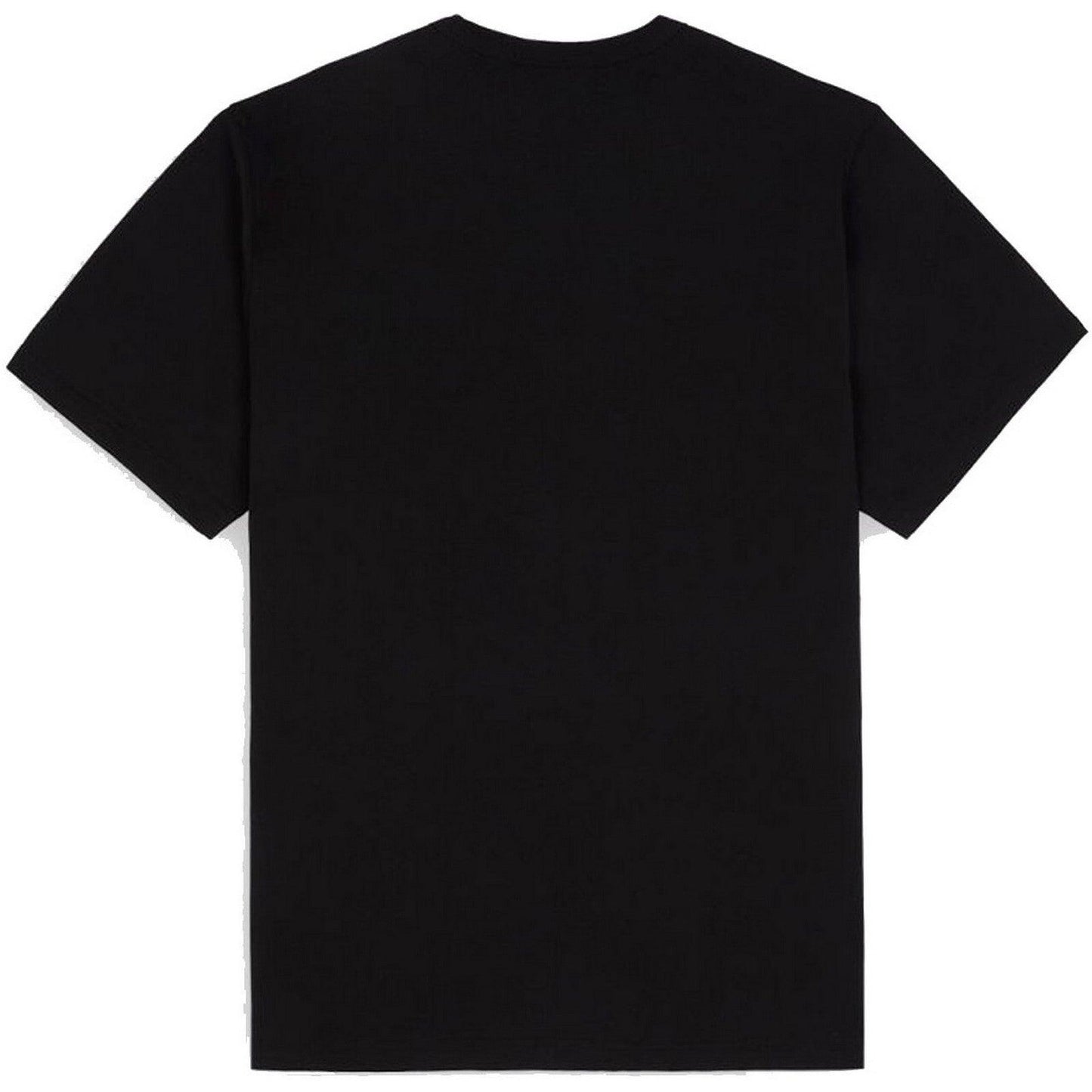 T-shirt Uomo Dickies - Summerdale Tee Ss - Nero