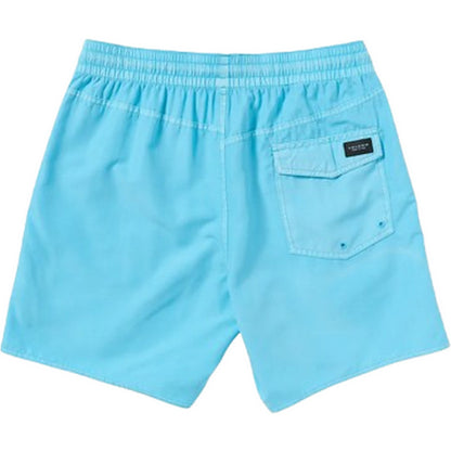 Pantaloncini Uomo Volcom - Center Trunk 17 - Celeste
