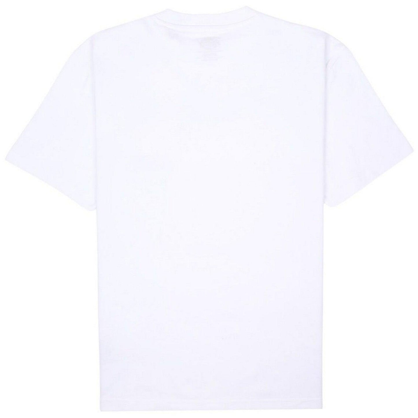 T-shirt Uomo Dickies - Summerdale Tee Ss - Bianco